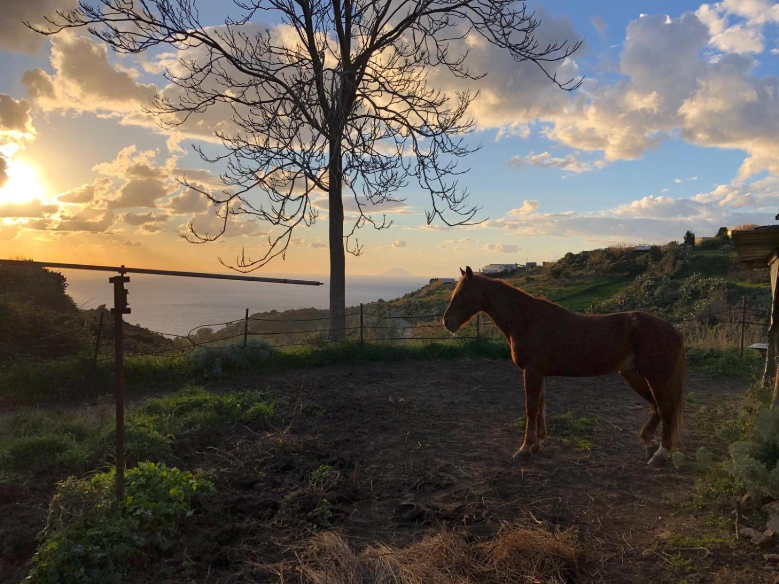 Agriturismo U Zu Peppino ليباري المظهر الخارجي الصورة