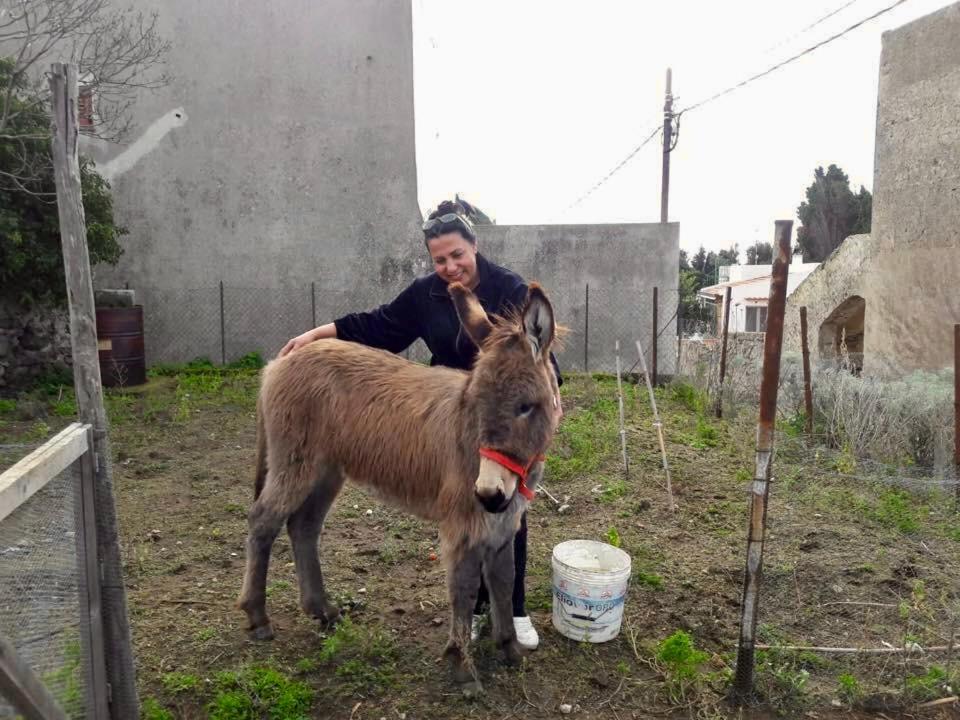 Agriturismo U Zu Peppino ليباري المظهر الخارجي الصورة