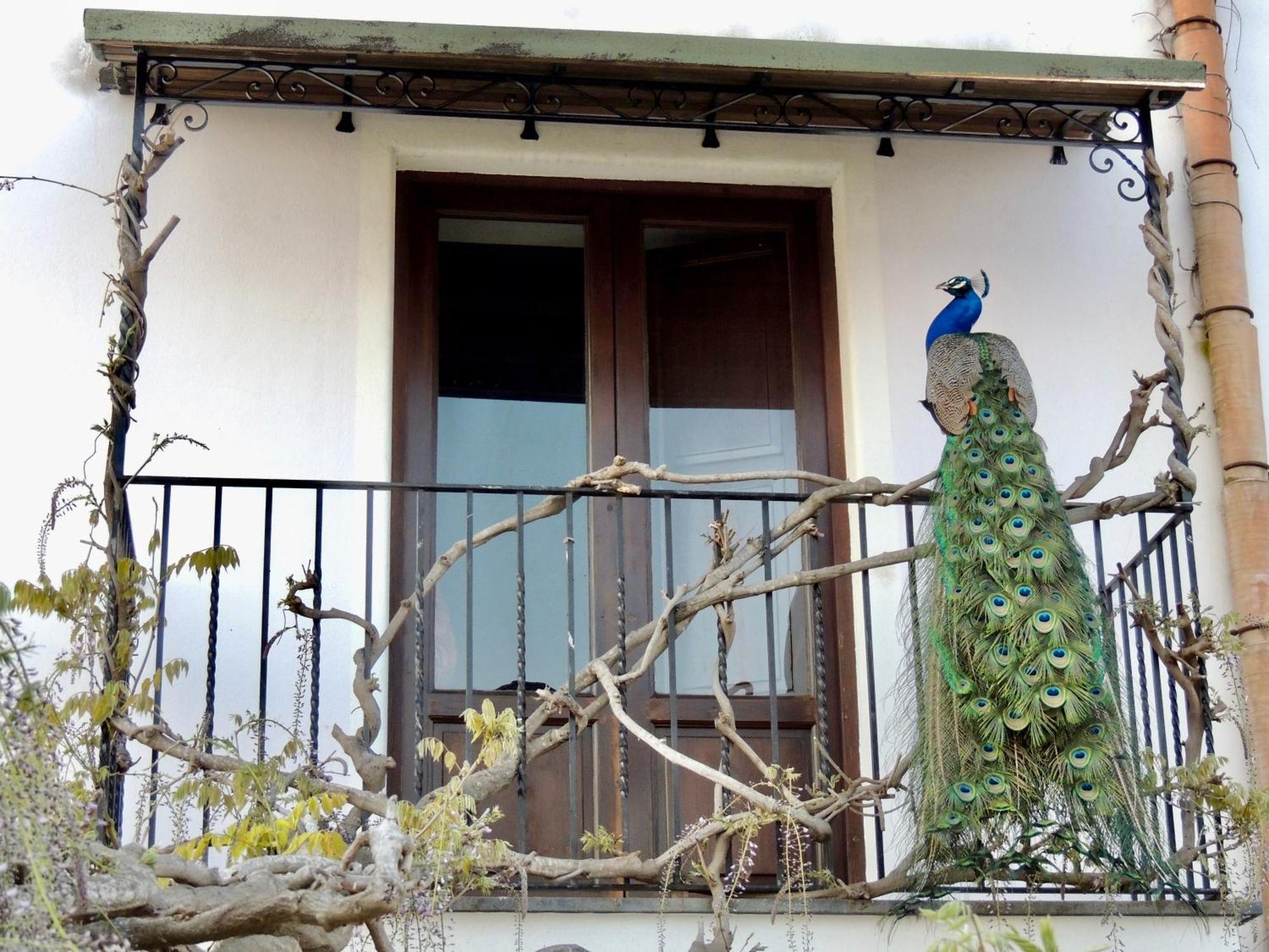 Agriturismo U Zu Peppino ليباري المظهر الخارجي الصورة